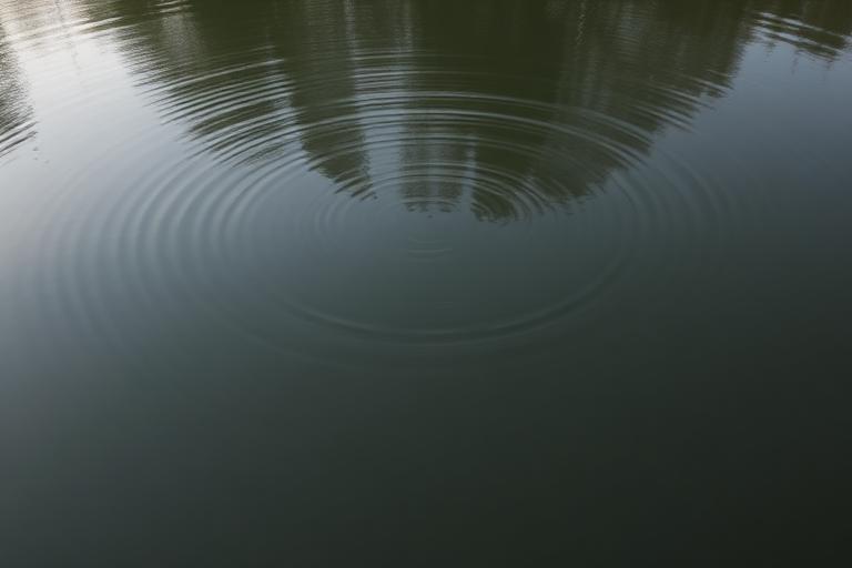 Still dark green pond water with faint concentric ripples spreading outward