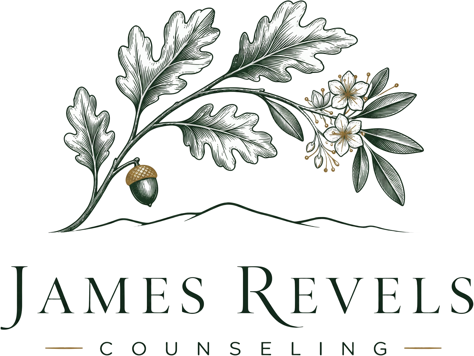 James Revels Counseling